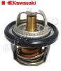 Kawasaki KLX 250 H6F/H7F (US Market) 05-07 Thermostat
