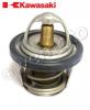 Kawasaki EX 250 R K8F/K9F Ninja  08-09 Thermostat