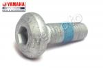 Yamaha YZF 1000 R1 SP 06 Mounting Bolt - Front Disc (Yamaha OEM)