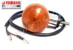 Yamaha XG 250 Tricker (5XT1) 04-05 Indicator Complete Rear Left 