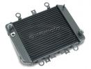 Kawasaki ER-5 (ER 500 C1/C3/C4/C5P) 01-07 Radiator