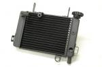 Honda CBR 125 R4/R5/RS5 (JC34) (JC39) 04-05 Radiateur