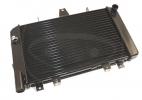 Kawasaki ZRX 1200 S(ZR 1200 B1-B3) 01-04 Radiateur