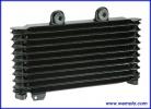 Suzuki GSF 600 S/T/V Bandit - GN77A 95-97 Oil Cooler