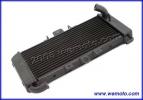 Yamaha FZS 600 Fazer 98-99 Radiator