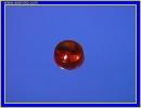 Rear Light Lens for Universal Twin Round Lens Taillight