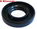 Kawasaki AR 80 C6-C9 88-92 Wheel - Front - Dust Seal - Left