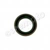 Kawasaki ZX 12 R (ZX 1200 B1/B2) 02-03 Cache-Poussière Roue Avant Droite