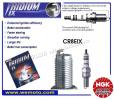 Gas-Gas Pampera 400 06 Bougie NGK Iridium