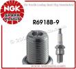 Suzuki RM 125 Y 00 Spark Plug NGK