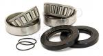 BMW HP2 Megamoto 07-09 Swinging Arm Pivot Bearing Kit (By All Balls USA)