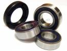 Kawasaki KL 250 A3 80 Rear Wheel Bearing Kit with Dust Seals