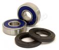 Suzuki TS 100 A/B 76-77 Kit Roulement de Roue Arrière All Balls - avec Caches-Poussière