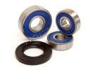 Suzuki GSX 750 F X/Y 99-00 Kit de Roulements Roue Arrière avec Caches Poussière