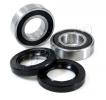 Yamaha YZF 600 R6 98-00 Front Wheel Bearing Kit with Dust Seals