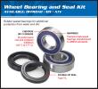 Polaris Predator 500/TLD 500 03-07 Rear Wheel Bearing Kit with Dust Seals (By All Balls USA)