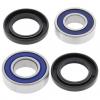 CAN AM DS 70 (2x4/4T) Mini 08 Front Wheel Bearing Kit with Dust Seals (By All Balls USA)