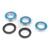 BMW S 1000 XR 17 Rear Wheel Bearing Kit with Dust Seals (By All Balls USA)