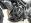 Engine Bars Triumph Tiger 800/800XC - Black