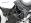 Engine Bars Triumph Tiger 1050 - Black
