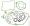 Bottom Set Honda VFR750FL-FV,VF750CP,CS 1990-1999