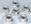 Honda CB 1000 FP/FR/FS/FT 93-96 Sprocket Rear Retainer - Stainless Steel Nut Set 