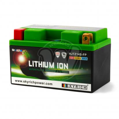 Lithium Ion Battery By Skyrich