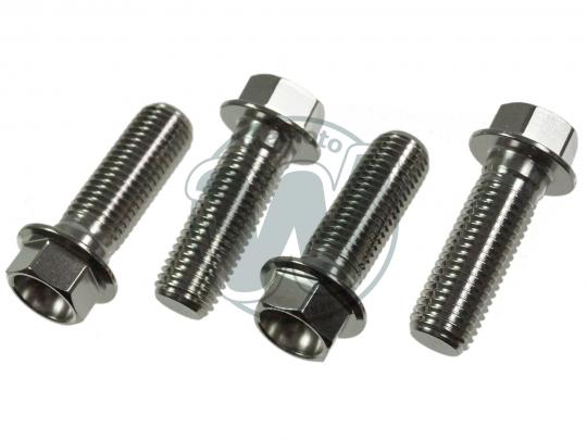 GSF1200 Bandit TITANIUM front caliper bolts