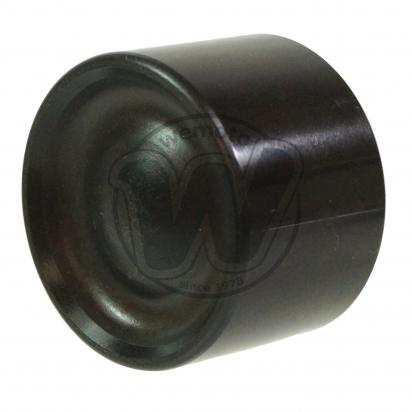 /BRAKE_PISTON/10068359.jpg
