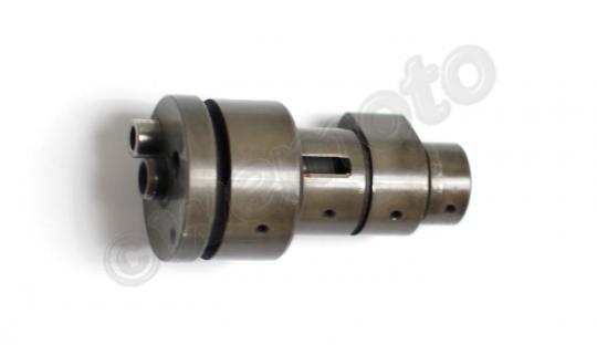 /CAMSHAFT/10064561.jpg