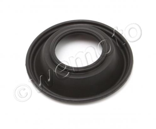 /CARBURETTOR_DIAPHRAGM/10059059.jpg
