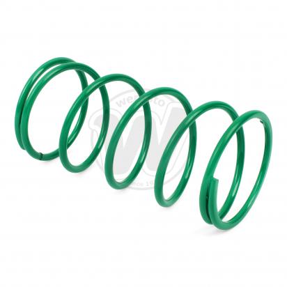 Driven Plate Compression Spring - kg.25 (GREEN)