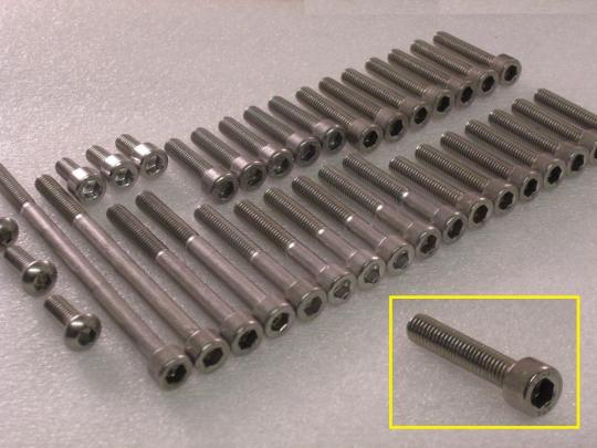 Engine Casing Stainless Steel Screw Kit