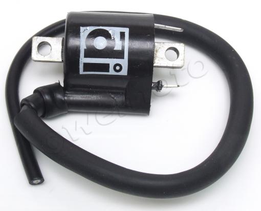 /IGNITION_COIL/10058299.jpg