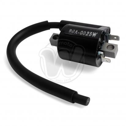 /IGNITION_COIL/wemoto-10090820.jpg