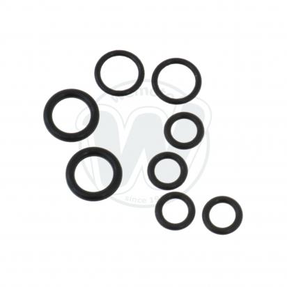 Set Guarnizioni e Tenute Carburatore