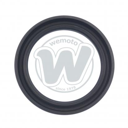/OEM_TRIUMPH/wemoto-10070102.jpg