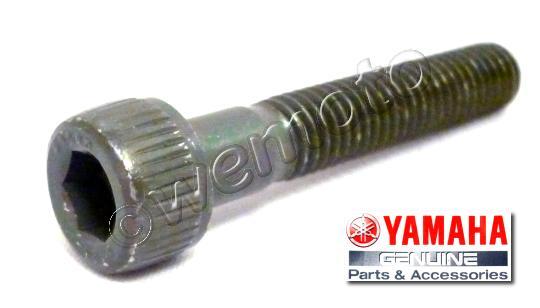 Tornillo Allen M6 x 35 mm (Acero inoxidable)