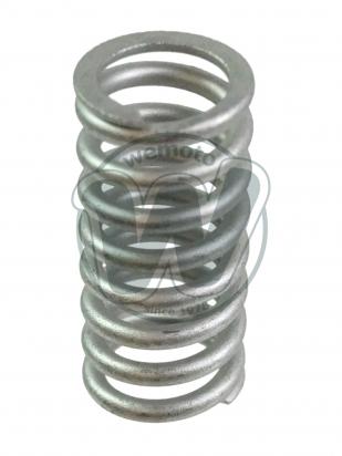 Driven Plate Compression Spring