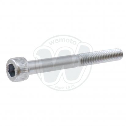 Stainless Steel - Allen Bolt M6 x 55 mm