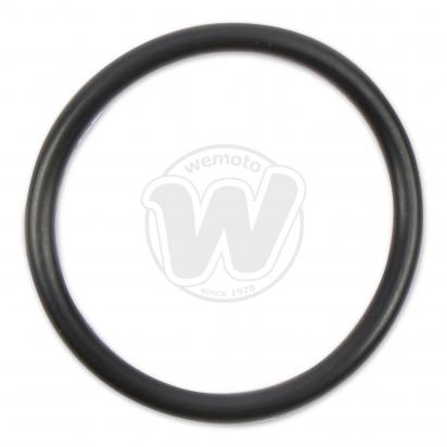 Inspection Cap 22mm O-Ring Seal
