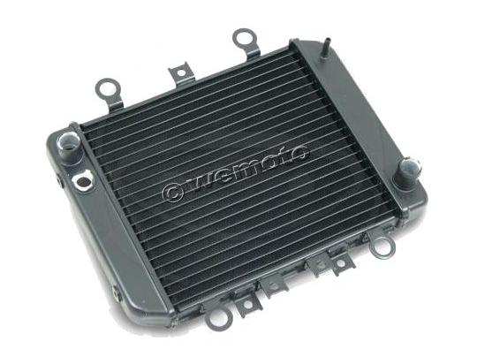https://images.wemoto.com/full/RADIATOR_GRILL/10031969.jpg