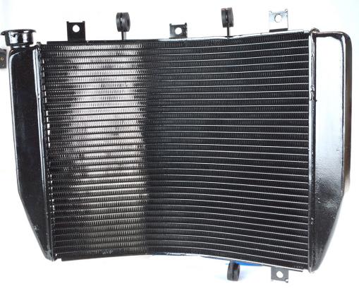 /RADIATOR_KAWASAKI/10055354.jpg