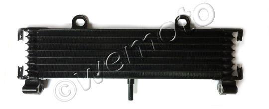 Oil cooler Yamaha XJR 1300 Picture of Oil cooler Yamaha XJR 1300
