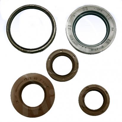 Engine Oil Seal Kit