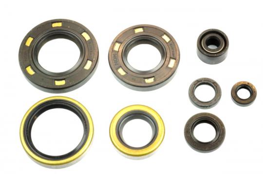 Engine Oil Seal Kit