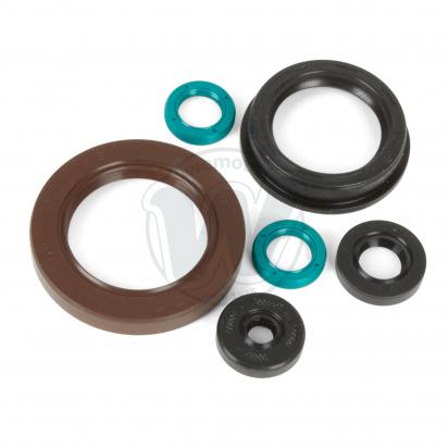/SEAL_OIL_KIT/wemoto-10085913.jpg