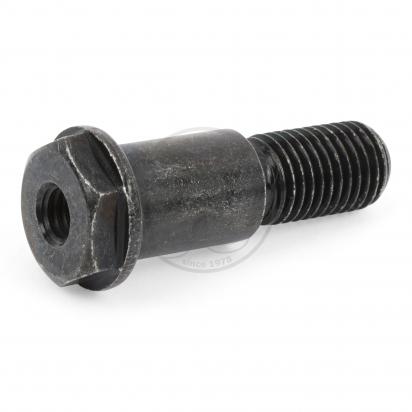 Side Stand Mounting Bolt