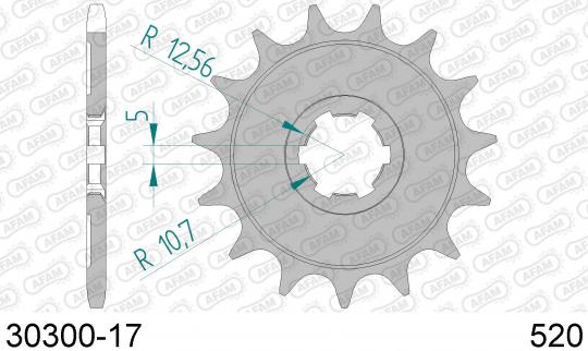 Sprocket Front Plus 2 Tooth - Afam (Check Chain Length)