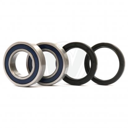 Rear Wheel Bearing Kit with Dust Seals (By All Balls USA)